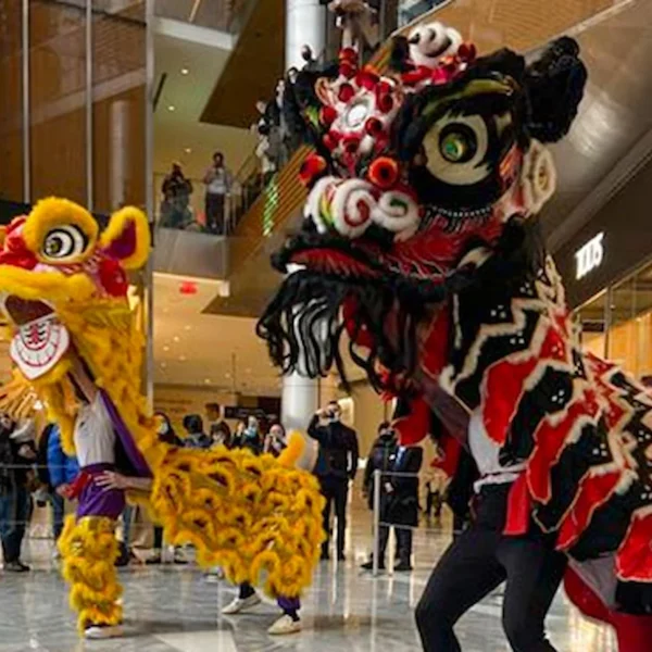 Lion dance with yellow and black costumes performed in upscale mall during festive cultural celebration