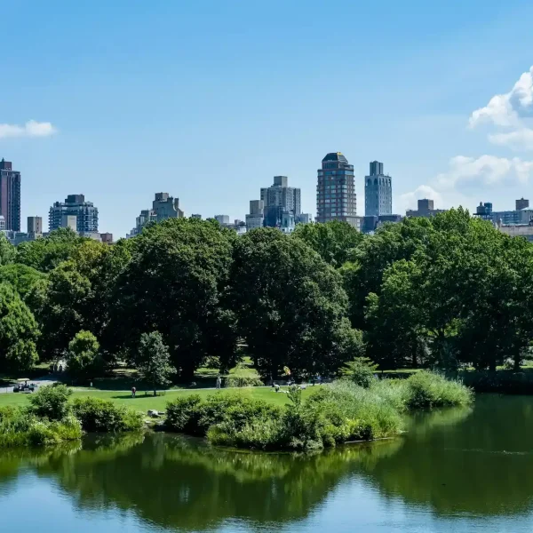 View of Central Park with lush trees, lake, and Manhattan skyline on a sunny day.