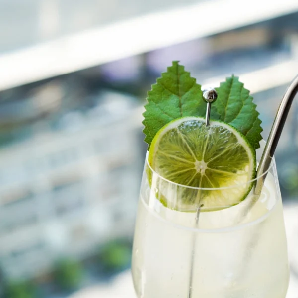 Close-up of cocktail with lime slice and green leaves in clear glass with metal straw on rooftop
